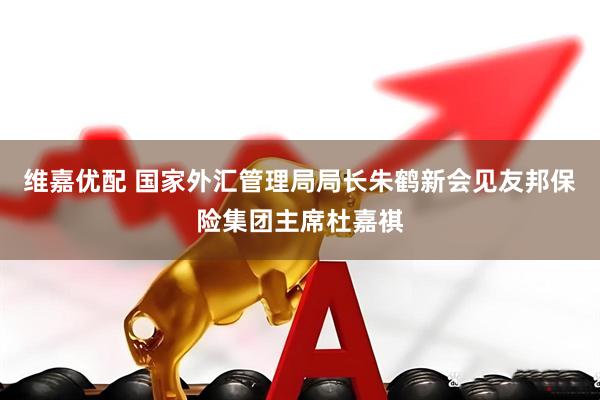 维嘉优配 国家外汇管理局局长朱鹤新会见友邦保险集团主席杜嘉祺
